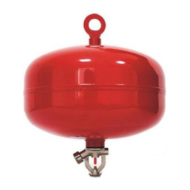 Bình chữa cháy tự động Eversafe 6kg